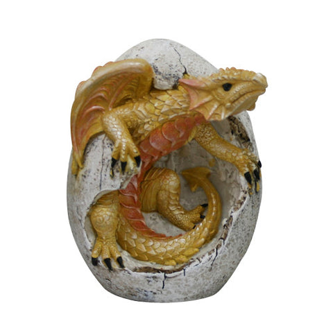 DRAGON HATCHLING C/36