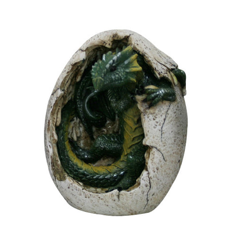 DRAGON HATCHLING C/36