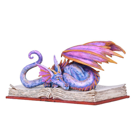 BOOK WYRM C/12