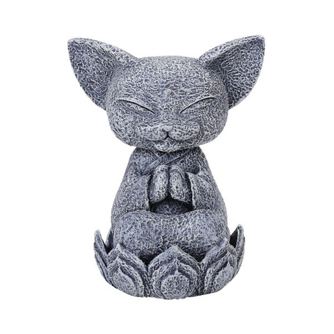 CAT JIZO C/36