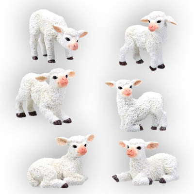 SHEEP, SET/6 (RD), C/18