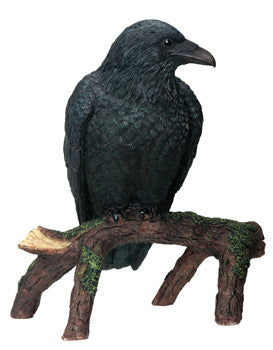 ^ RAVEN, C/12
