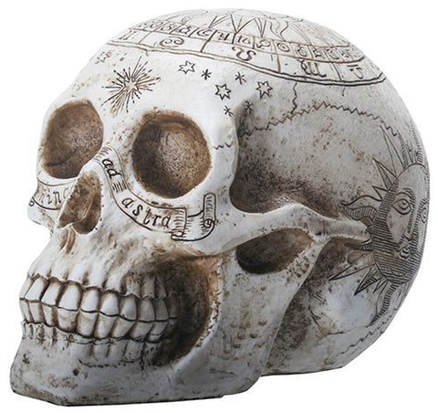 ASTROLOGY SKULL, C/8