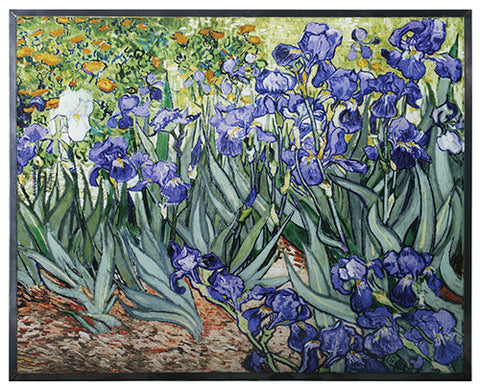 VAN GOGH - IRISES, C/8