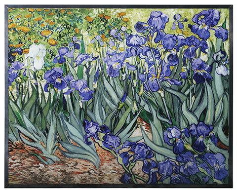 VAN GOGH - IRISES, C/8