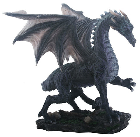 DISC-MED. BLACK MIDNIGHT DRAGON, C/6 MINIMUM OF 2