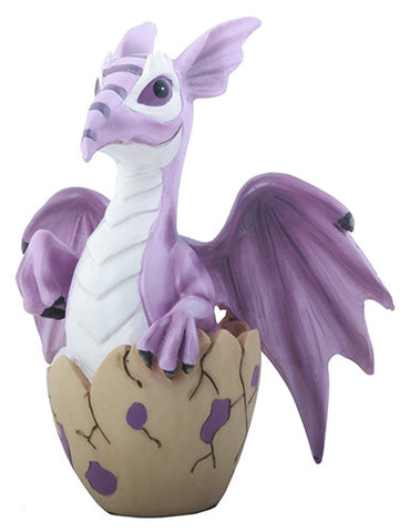 PURPLE BABY DRAGON, C/24