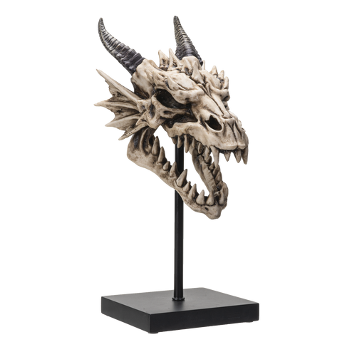 DRAGON SKULL C/12