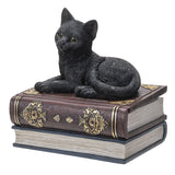 BLACK CAT ON BOOK BOX C/24