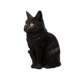 SITTING BLACK CAT C/6