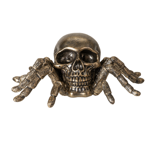 SPIDER SKULL C/24