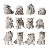 12PC WOLF PUP SET C/16