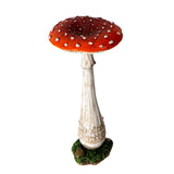 TOADSTOOL MUSHROOM C/24