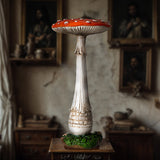 TOADSTOOL MUSHROOM C/24