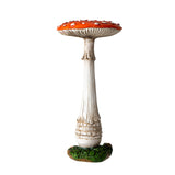 TOADSTOOL MUSHROOM C/24