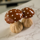 ^ MUSHROOMS S & P C/48 MINIMUM OF 4
