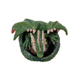 GREEN DRAGON HATCHLING C/48