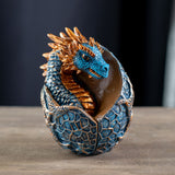 DRAGON HATCHLING C/48