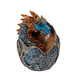 DRAGON HATCHLING C/48