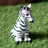 ZEBRA FOAL C/18