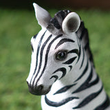 ZEBRA FOAL C/18
