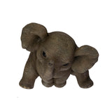 ELEPHANT CALF C/18