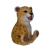 LEOPARD CUB C/18