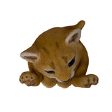 LION CUB C/18