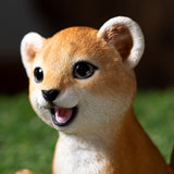 LION CUB C/18