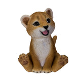 LION CUB C/18