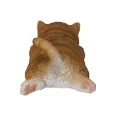 TABBY MAGNET C/48
