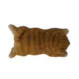 TABBY MAGNET C/48