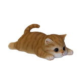TABBY MAGNET C/48