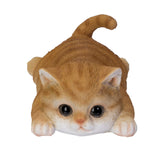 TABBY MAGNET C/48
