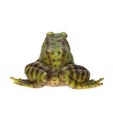 FROG C/24