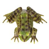 FROG C/24