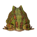 BULL FROG