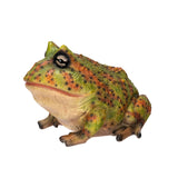 BULL FROG