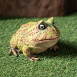 BULL FROG