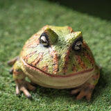BULL FROG