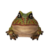 BULL FROG