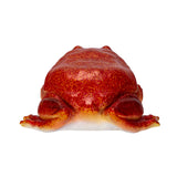 RED FROG C/48