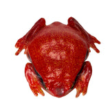RED FROG C/48