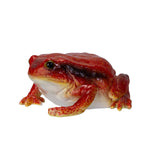RED FROG C/48