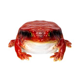 RED FROG C/48