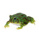 GREEN FROG C/48