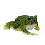 GREEN FROG C/48
