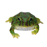 GREEN FROG C/48