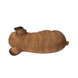 FRENCHIE SLEEPING C/24
