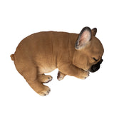 FRENCHIE SLEEPING C/24